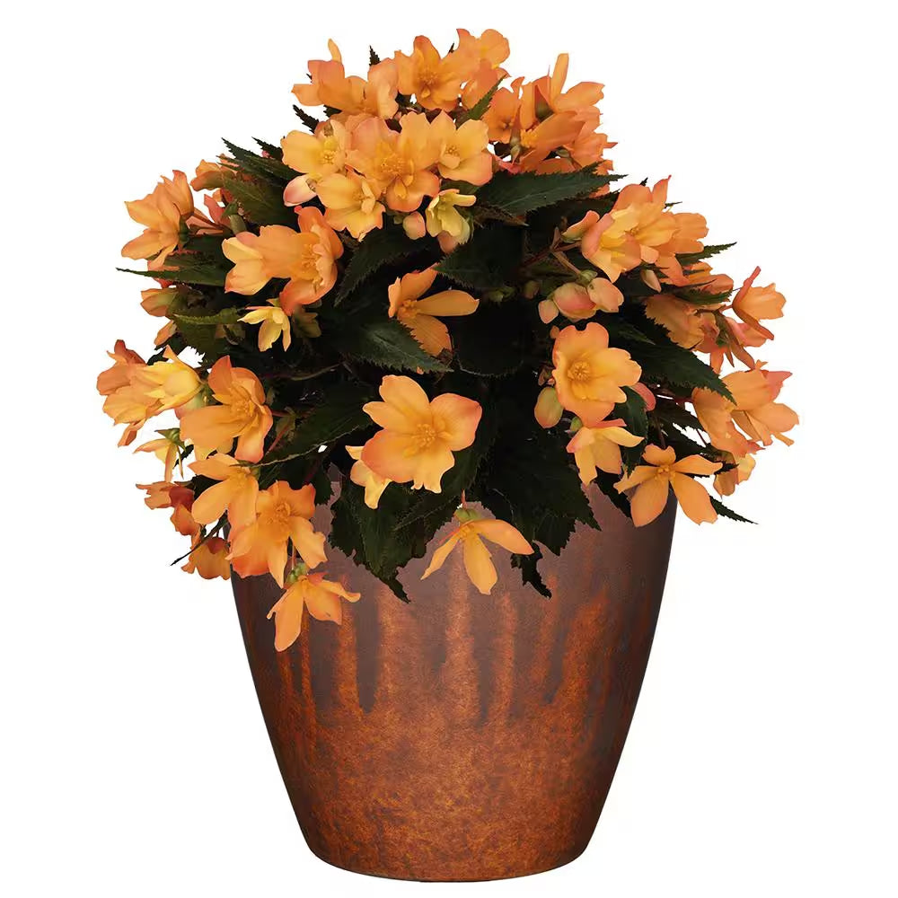 Vogue 8 In. Burnished Rust Resin Planter