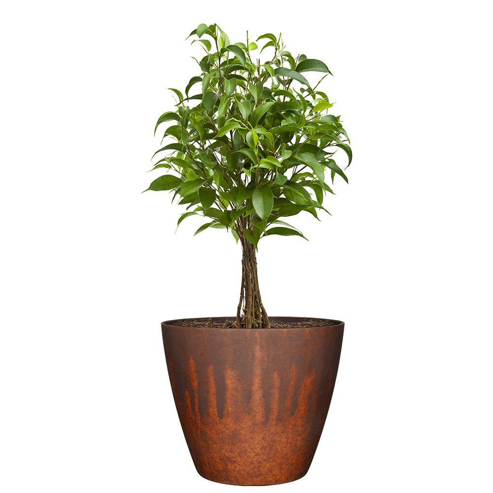 Vogue 8 In. Burnished Rust Resin Planter